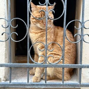 Meet your Posher, Larry